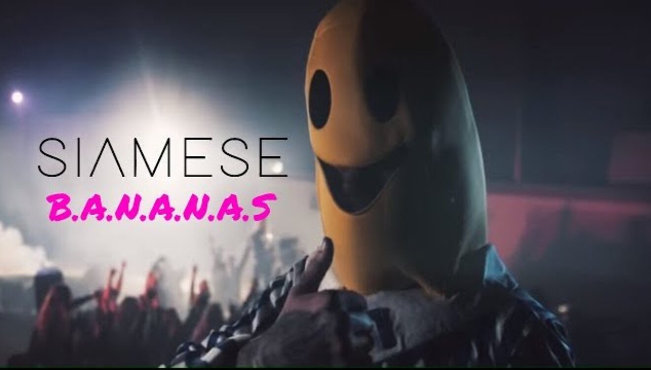 Siamese - B.A.N.A.N.A.S